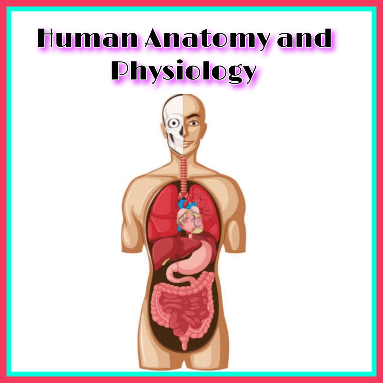 Human Anatomy and Physiology I– Theory,BP101T