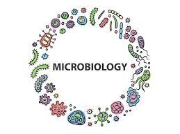 BP 303 T. PHARMACEUTICAL MICROBIOLOGY (Theory)