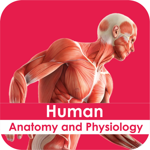 HUMAN ANATOMY & PHYSIOLOGY-II