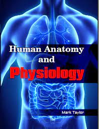 BP101T. HUMAN ANATOMY AND PHYSIOLOGY-I