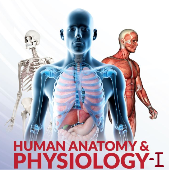 HUMAN ANATOMY AND PHYSIOLOGY-I