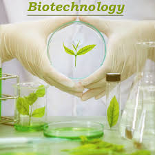 PHARMACEUTICAL BIOTECHNOLOGY