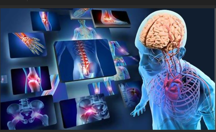 HUMAN ANATOMY AND PHYSIOLOGY-I